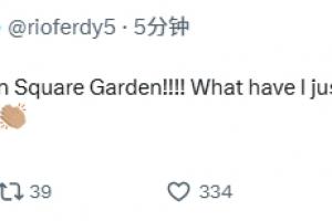 突尼斯vs荷兰-9-NBA总决赛G4尼克斯超级大逆转！费迪南德：我的天！我目睹了什么