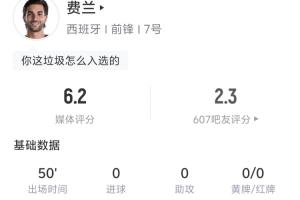 世界杯_葡蔔牙vs乌兹别克斯坦-费兰半场数据：3射门1射正1中框 丢失球权14次 地面对抗6成功0