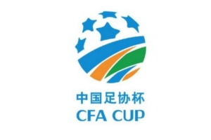 埃及vs伊朗-11-据足协杯和各级联赛规程，特殊身份球员出场以低级别联赛规定为准