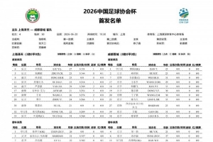 荷兰vs日本-10-上海泽天vs成都蓉城首发：韦世豪、拜合拉木登场，帅惟浩替补