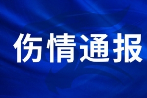佛得角vs沙特阿拉伯-6-巴拉圭vs澳大利亚直播_巴拉圭vs澳大利亚直播在线观看_免费看直播