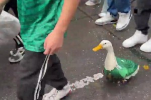 德国vs库拉索直播k0_德国vs库拉索直播在线观看_免费观看德国vs库拉索直播