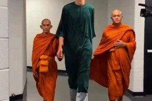 突尼斯vs荷兰直播cs_突尼斯vs荷兰直播在线观看_免费观看突尼斯vs荷兰直播