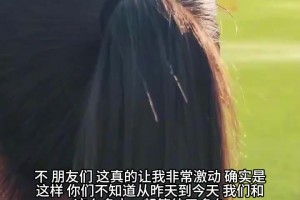 巴西vs海地直播ta_巴西vs海地直播在线观看_免费观看巴西vs海地直播